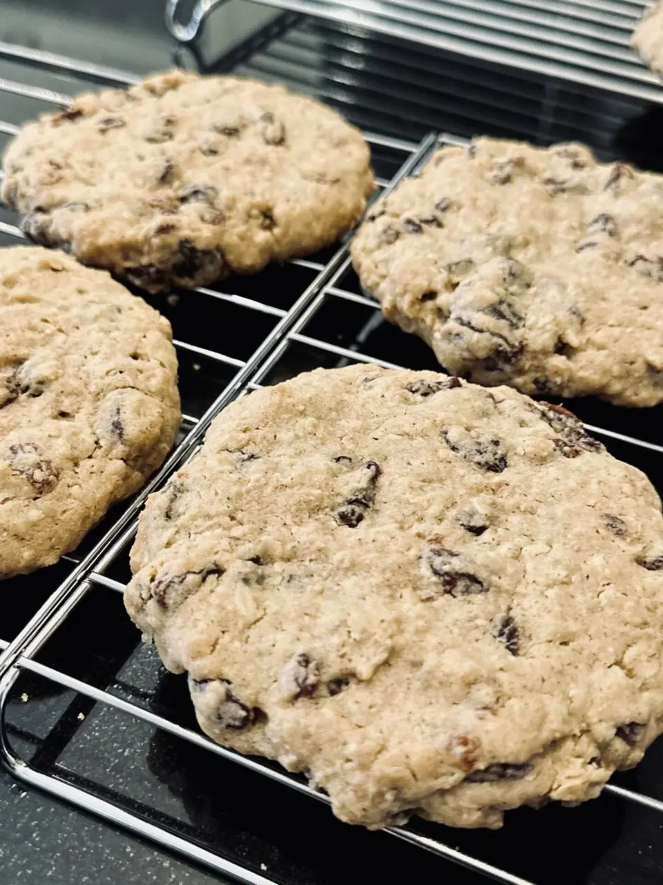 Oatmeal Raisin - Cookie Thirty-Nine