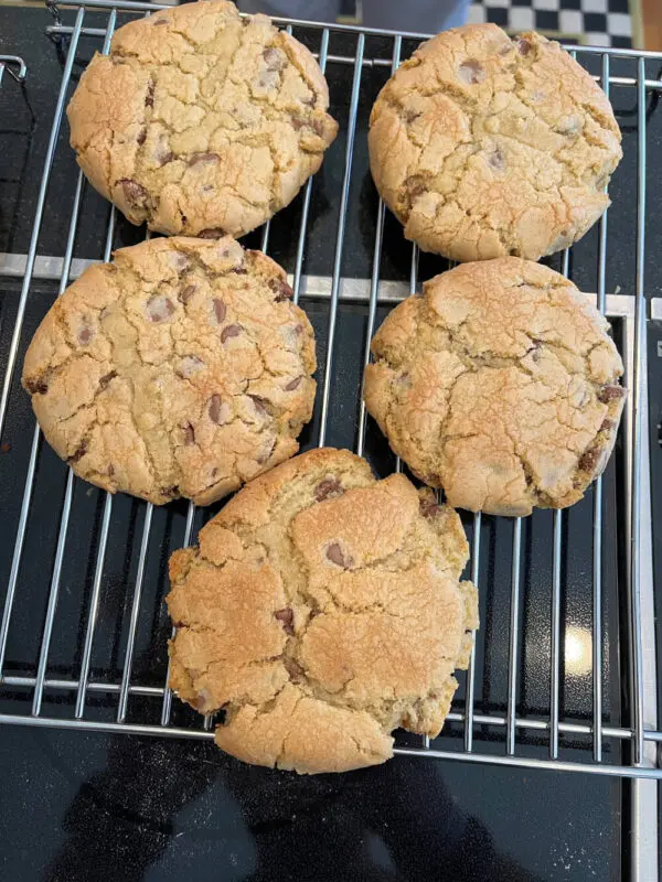 A close up of cookies on a rack